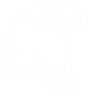 Eagle-BS-logo-novo-small-med EBS Sistemas
